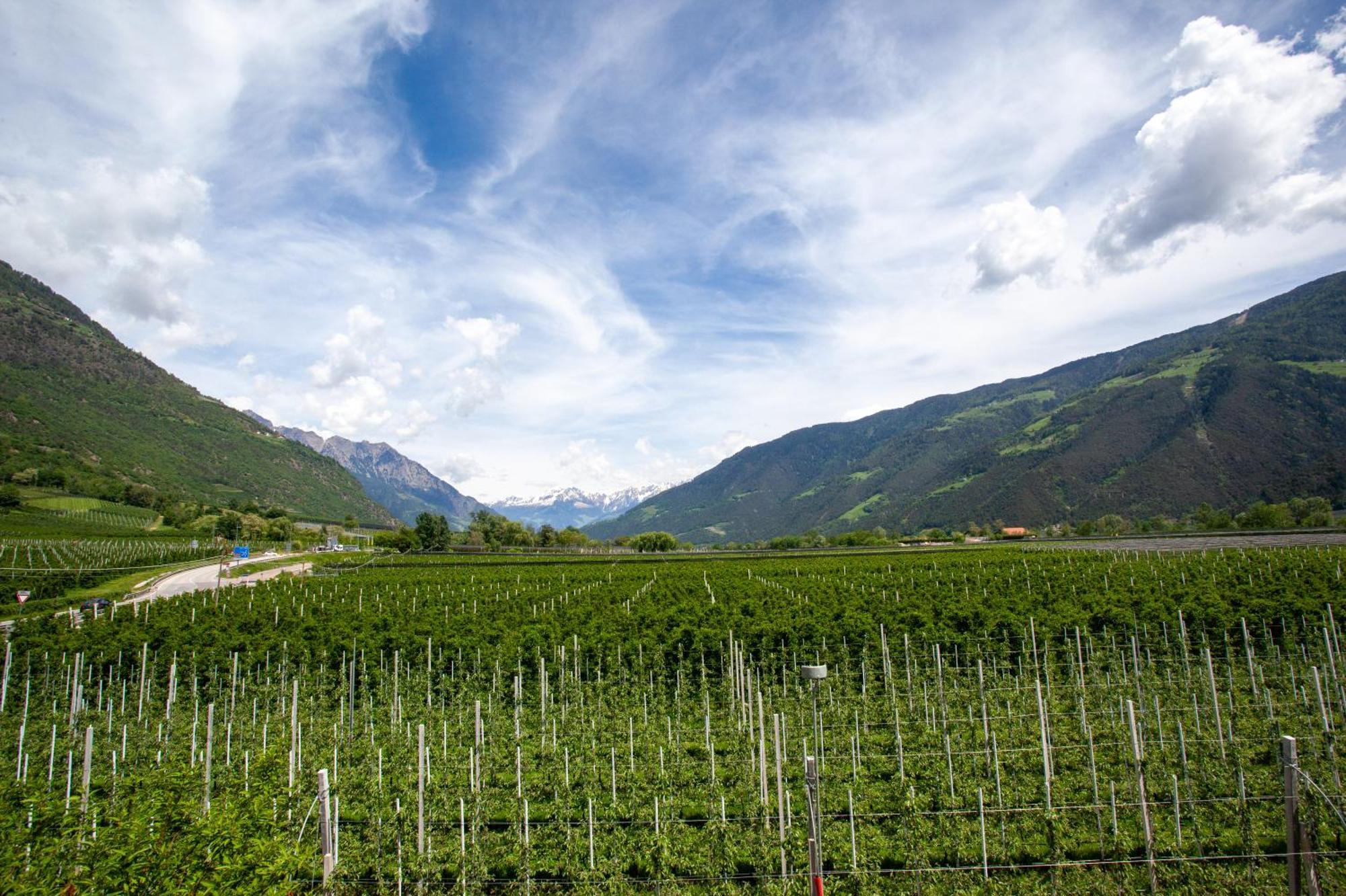 Hof Schupfer - Alpstay Naturns Exterior photo